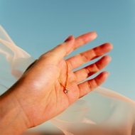 Altimes Lunar Orb Necklace Silver 925 Moonstone White Topaz สร้อยคอเงินแท้ ประดับพลอยแท้ มูนสโตน ไวท