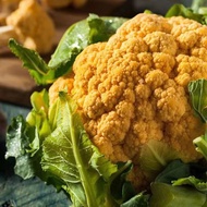 Yellow Concubine Cauliflower Seed Cauliflower Seed Green Yellow Purple Cauliflower Seed Broccoli See