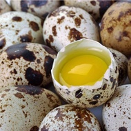 Telur Puyuh Mentah 1 Kg / 90 butir