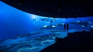 AQUARIUM PARK AOAO SAPPORO (Hokkaido)