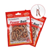 10g Umpan Ruat/Umpun Kering Pancing Udang dan Ikan- Dry Sandworms cacing laut Prawn killer Bait Salt