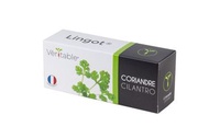 法國VÉRITABLE®專用CILANTRO LINGOT®香菜