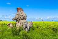 花蓮旅遊｜縱谷旬味列車-山嵐號｜龜山島海景.六十石山金針花.夢想五味屋.瑞穗溫泉莊園三日｜台中出發