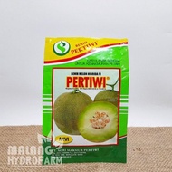 Benih Melon Hijau Pertiwi 600 Biji Unggul Bibit Hidroponik Hydroponik