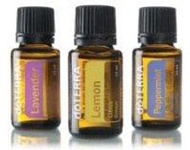 [信實精油] doTERRA 多特瑞基本精油套組(檸檬,薰衣草,薄荷15ml各一瓶] (現貨,免運費)