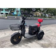 RFM Electric Bike 3wheel Ebike Mobility scooter Bike 3wheel Triwhe