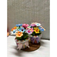 [GIVE BAG + CARD] pot of chrysanthemums with 6 colorful petals to decorate gifts March 8 October 20 