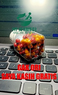 Kapsul Pelangsing Alami Kualitas satu