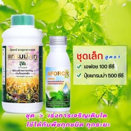 แพ็คคู่ชุดเล็ก สารจับใบเอฟอช 100 CC+ปุ๋ยน้ำแกรมม่าทู 500 CC   เกรด A ทั้งชุด (สูตรเร่งการเจริญเติบโต
