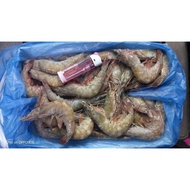 【好想你生鮮】特選三A級-活凍南美白蝦40/50(約47隻)_5盒(1.15kg±5%/盒)