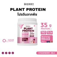 Merry Plant Protein โปรตีนพืช 5 ชนิด :โปรตีนพืช 35 G น้ำตาล0% ย่อยง่าย 6 รส