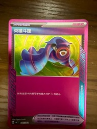 PTCG 英雄斗篷