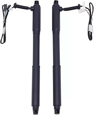 XZXZKL Rear Tailgate Power Lift Support Shock Strut Compatible for BMW X5 E70 2007-2013(Right)