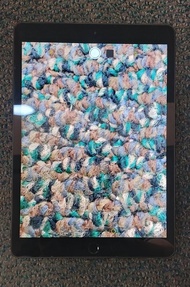 iPad 10.2吋 8代 128gb