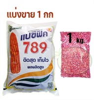 เมล็ดพันธุ์ ข้าวโพดเลี้ยงสัตว์ 789แปซิฟิค (( แบ่งขาย 1 กก  )) สีสวย ได้ผลผลิตสูง ฟักใหญ่ แกนลึก สีส้