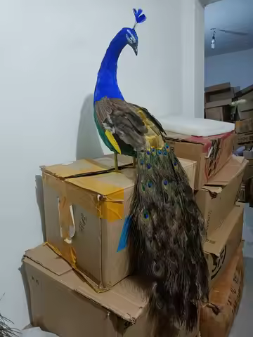 one piece simulation colorful peacock model foam and feather peacock model gift about 100cm