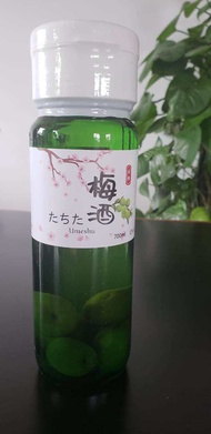 梅酒700ml 现货💥