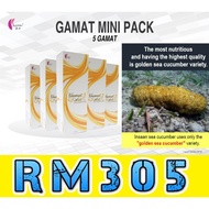 Gamat Asli Golden Sea Cucumber (5 X 500ml) 5Bottles Insaan Lo Hong Ka 金海参