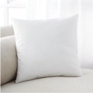 Sofa Cushion Chair Cushion/ Cushion Pillow 40x40 cm and 45x45 cm