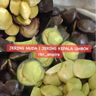 JERING MUDA | JERING KEPALA UMBOK | JENGGOL | BUAH JERING / JERING / ULAM