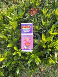 Deodorant Kids Carrie Super Fresh Carrie Junior
