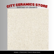 GRANITE ROMAN 60x60 TOKYO CREAM 