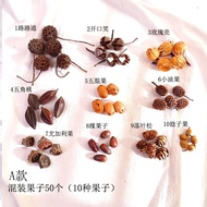 Kindergarten Handmade Natural Pine Cone Acorn Hound Pattern Fruit Material Decoration Dried Flower C