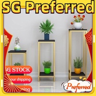 Flower pot stand【SG stock】plant stand/flower stand/plant rack stand/flower rack stand/flower pot sta