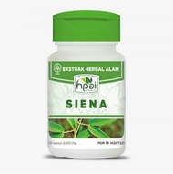 Siena Jati Cina HPAI Obat Herbal Sembelit Pelangsing dan Detoks Tubuh / susah BAB / melancarkan BAB