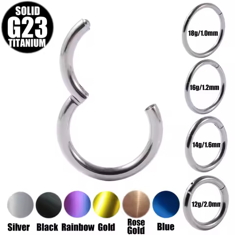 2PCS 18g&16g&14g&12g G23 Titanium Segment Hinged Nose Ring Lip Eyebrow Nipple Clicker Ear Septum Hel