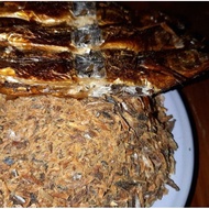 Smoked Roa Fish 250gr