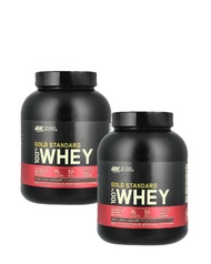 OPTIMUM NUTRITION ON - Gold Standard Whey 5lbs - Double Rich Chocolate (2 PCS)