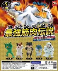 最強筋肉傳說 扭蛋 全套5款 (倉鼠/三色貓/北極熊/河童/柴犬)
