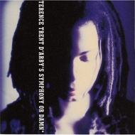 (Used) TERENCE TRENT D'ARBY Symphony Or Damn CD (Japan press no OBI)