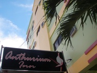 紅掌飯店 (Anthurium Inn)