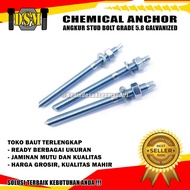 Chemical Anchor Anchor Stud/ Bolt Chemsud/ Anchor Grade 5.8Bolt