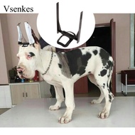 [Vsenkes] puppy ear Care Standing Tools, Husky Doberman Pinscher puppy ear Corrector