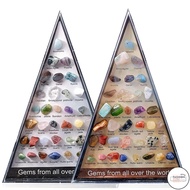 LF Rock and Mineral Educational Collection 36pcs Geology Gem Kit In A Display Case For Kids Natural 