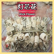 灯芯花 灯芯草 灯心 10小粒 Wick Flower (Common Rush Deng Xin Hua) 10pcs