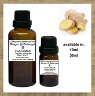 (JHR) MINYAK PATI TULEN - 100% pure e/o - Ginger aka Galangal EO (AUROMA/AUSTRALIA) 100% 纯单方精油 - 姜精油