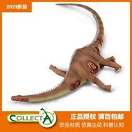 【客之坊】CollectA我你他仿真感恐龍模型動物玩具雷龍尸體88911