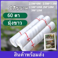 ตาข่ายป้องกันแมลงสีขาวตาข่ายผักตาข่ายไนล่อนสีขาวตาข่าย 5m-60m ยาวกว้าง 2m-3m 60mesh ความหนาดี Grade