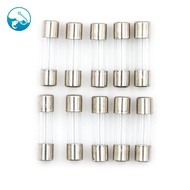 [ritonlywond] 10pcs Glass Tube Fuse 5mm x 20mm 1.6A T1.6A 250V Slow Blow 1.6Amps TH