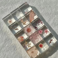 Xiaohongshu Epoxy Plant Specimen Real Flower Crystal Three-Dimensional Bedroom Ornaments Small Parti