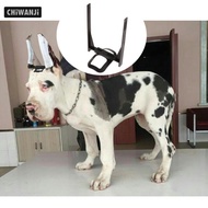 [CHiWANJi] puppy ear Care Standing Tools, Husky Doberman Pinscher puppy ear Corrector