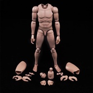 1:6 Scale Nude Male Figure Body, Europe/Asian Skin Muscular Body Model Man Action Figure Fit 12Inch 