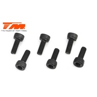 *** Crazy Toystm Jingling [126410C] SETH/B8ER/B8JR Screw M4x10mm (6Pcs)