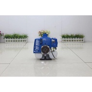 Blue Color Easy Starter 80cc 1E53F Engine 2 Stroke Earth Drill Brush Cutter Goped Scooter Motor 53mm