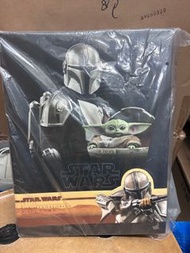 [全新現貨] TMS015 Hot Toys Star Wars The Mandalorian & The Child Figure (Deluxe Version)