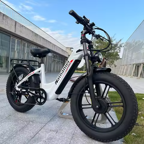 Nathaniel SYR08 Adult Electric Bike, 2000W Dual Motor, 20”*4.0 Fat Tire Integrated Wheel, 50km/h, 48